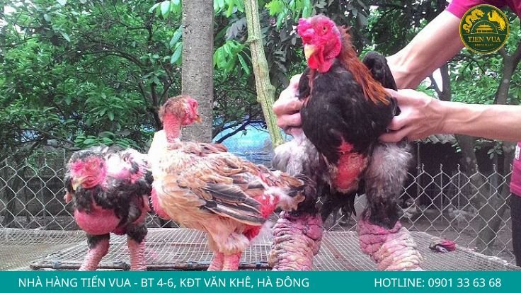 Phân biệt qua đôi chân