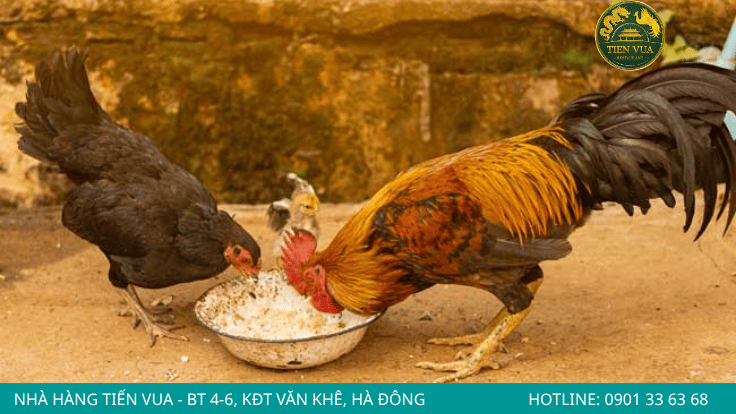Bổ sung dinh dưỡng giúp tăng đề kháng