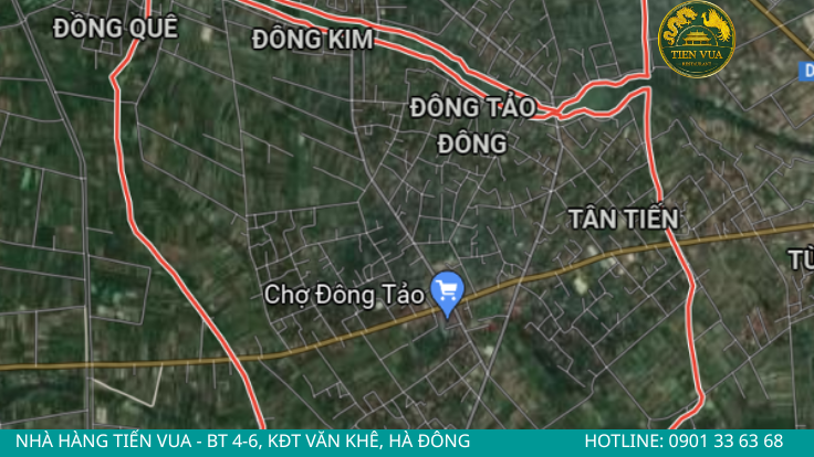 Gà Đông Tảo có xuất xứ từ xã Đông Tảo